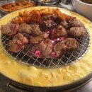 신마포갈매기 이미지