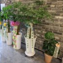 이글스크린골프존 이미지