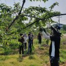 괴산군농업기술센터 이미지