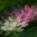 오늘도땡큐 이미지