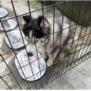 비석거리주유소 이미지