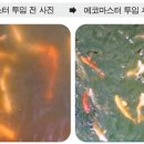 삼영축산 - 송파구 | 삼영축산