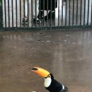 (주)라온투어 이미지