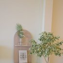 계양역 | 계양역 아라뱃길 카페 멜팅무아 내돈내산 후기