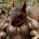 퍼스트 휘트니스 이미지