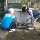 부령약수터 이미지