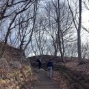 원조소문난밀양돼지국밥 이미지