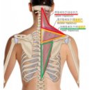 에이앤프리햅 이미지