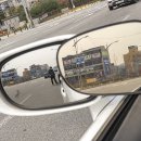 지니옵틱 이미지