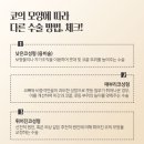 아이퀸성형외과의원#광주 서구 치평동#