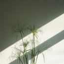 서연플라워 - 시흥시 서해안로 586 | 서연플라워