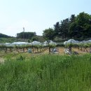 전원락농장 이미지