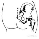 환도약국 이미지