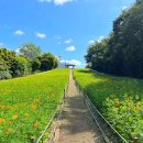 올림픽공원 이미지