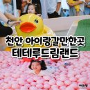 천안 아이랑가볼만한곳 테테루드림랜드 솔직후기