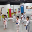 한국체대 힘찬 태권도장 이미지