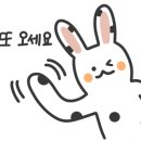 모미모미 - 마포구 와우산로29길 14-7 | 모미모미