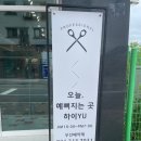 하이유(Yu) 이미지