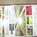 대실농장 이미지