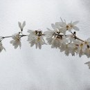 용두공원#1 이미지