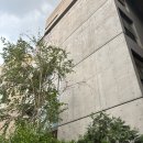 프라임 | 압구정피부과 울쎄라 프라임 이중턱 리프팅 후기 내돈내산