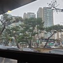 아우네우리돼지생고기전문