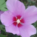 청살림영농조합법인 이미지