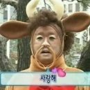 배통 - 창원시 성산구 용지로 70 | 배통