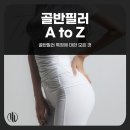 실루엣성형외과의원 | 신사역 근처 성형외과 골반필러 특징 A부터 Z까지