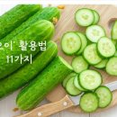 🥒오이 활용법 11가지🥒 이미지