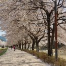 옥포종합정비 이미지