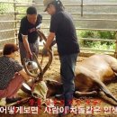 예산농장 이미지