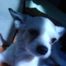 괴정2동-5 이미지