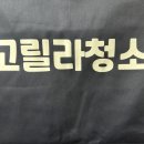 고릴라청소 이미지