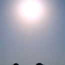 돌섬민박 이미지