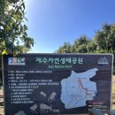 수산리-14 | 제주자연생태공원 반달가슴곰 귀여워,,