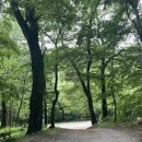 김용사 야영장 네이버블로그