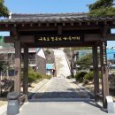 구룡포식당 이미지