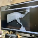 부천종합동물병원 이미지