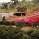 숲쟁이로 이미지