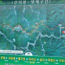 근덕목장 | [19] 피재~댓재, 자암재의 행복한 밤과 초여름의 숲속으로...