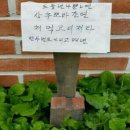 뽀바 이미지