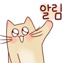 NP기획 이미지