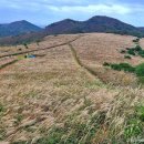 드라마 촬영지로 유명해진 억새 명산 가을이면 은빛 파도 넘실대는 트레킹 명소 이미지