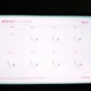 위클리디자인