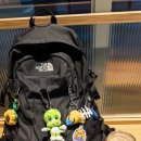 둘리인형뽑기 송산점 | 가방꾸미기 - 둘리인형 키링 / 둘리 가시고기 키링 - The North Face Big Shot 인형뽑기 인형으로...