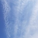 송림길삼거리 이미지