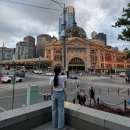 (주)레인폴소프트 | 호주 시드니 멜버른 신혼여행 Day 1 | 멜버른 툴라마린 공항, 유니버설 레스토랑, 폴린더스 스트리트역