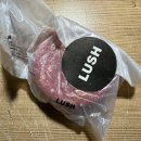 마사지바 테라피, 고체 삼푸 뉴, 퍼글러 스크리츠 블루 키링, LG 틔운 미니 쌈추와 겨자채 14일차, 숄더...