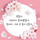 건강견과류 이미지